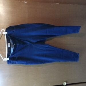 Eloquii Indigo Denim Pants